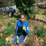 Gardening 2009