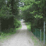 Camp Scatico Games