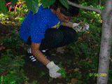Summer of Service Jenny & Issac Garden